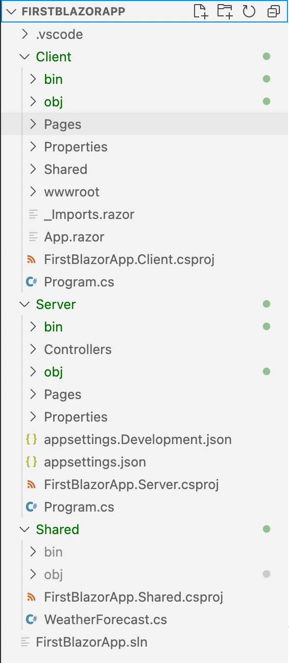 Blazor Hosted Folder Structure